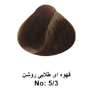 رنگ مو تونی سری طلایی